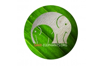 Save-Elephants, z.s.