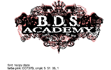 B.D.S. Academy o.s.