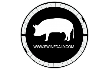Swine Daily