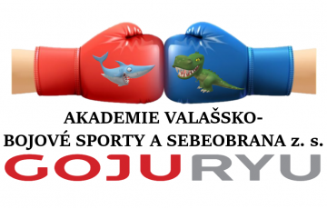 Akademie Valašsko-Bojové sporty a sebeobrana z. s.