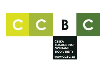 Nadační fond CCBC