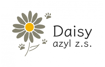 Daisy azyl z.s.