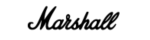 Marshall Headphones